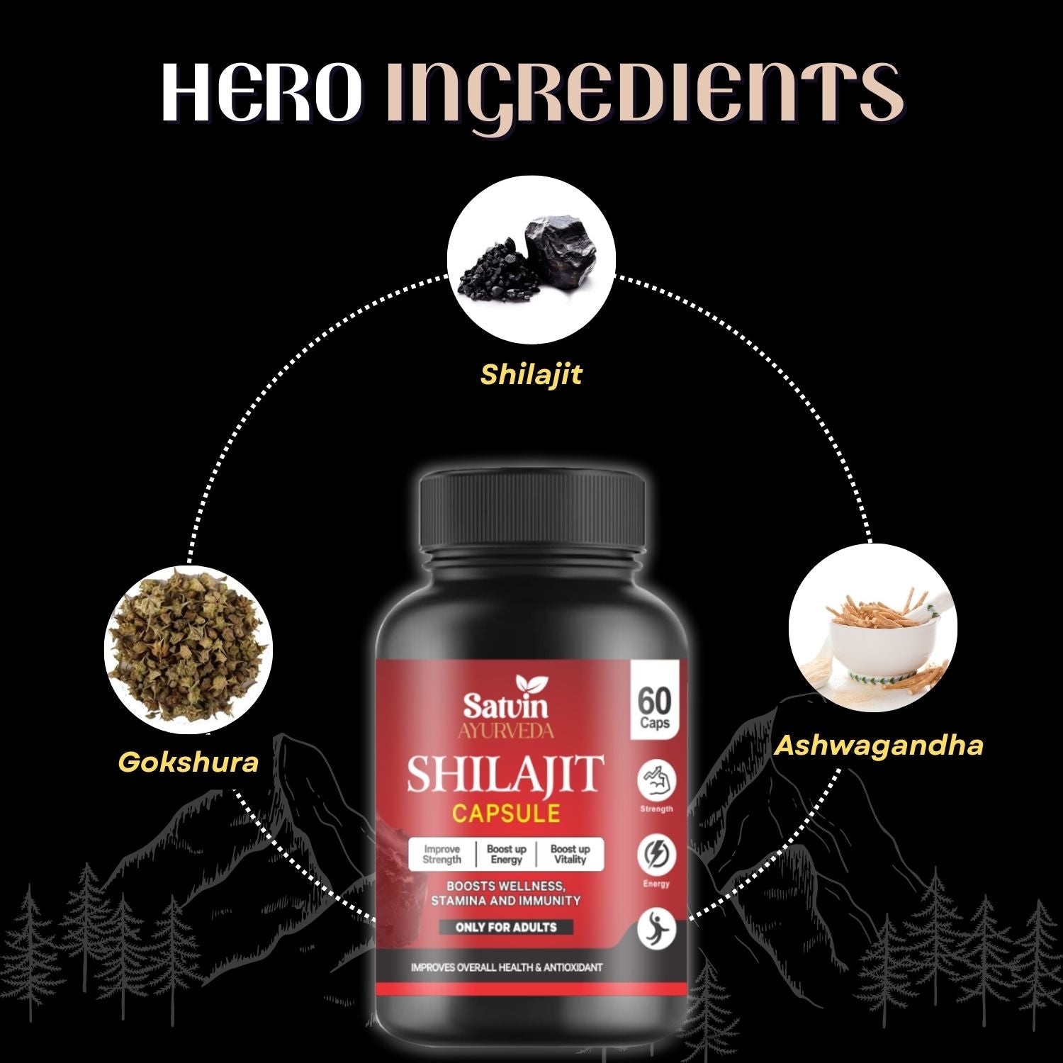 Satvin Ayurveda Shilajit Capsules