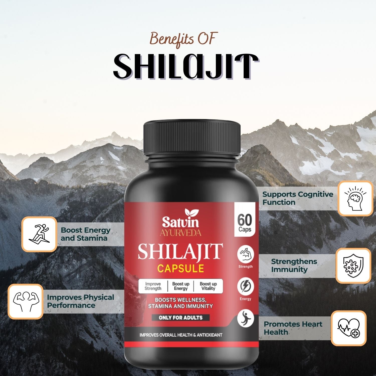 Satvin Ayurveda Shilajit Capsules