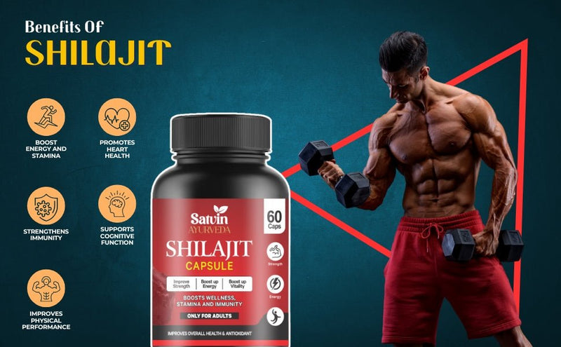Satvin Ayurveda Combo of Ashwagandha & Shilajit Capsules for Men & women
